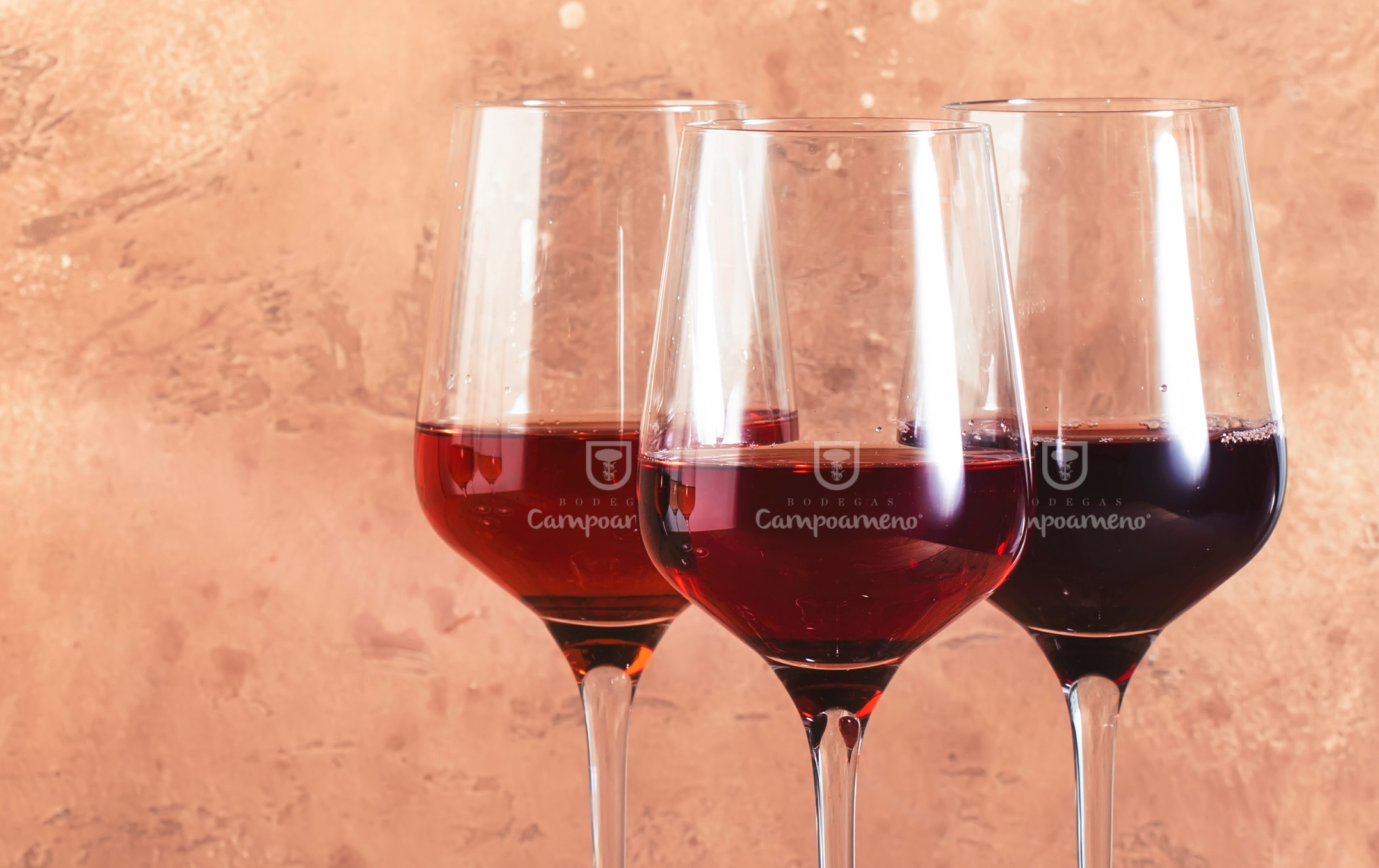 El maridaje no es obligatorio 4 ocasiones para tomar vino solo